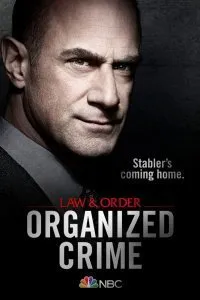 Постер к Закон и порядок: Организованная преступность (1-4 сезон)